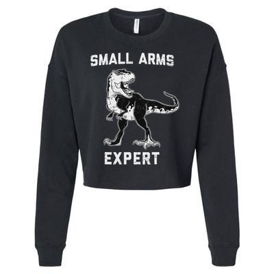 Dinosaur Small Arms Expert Cropped Pullover Crew