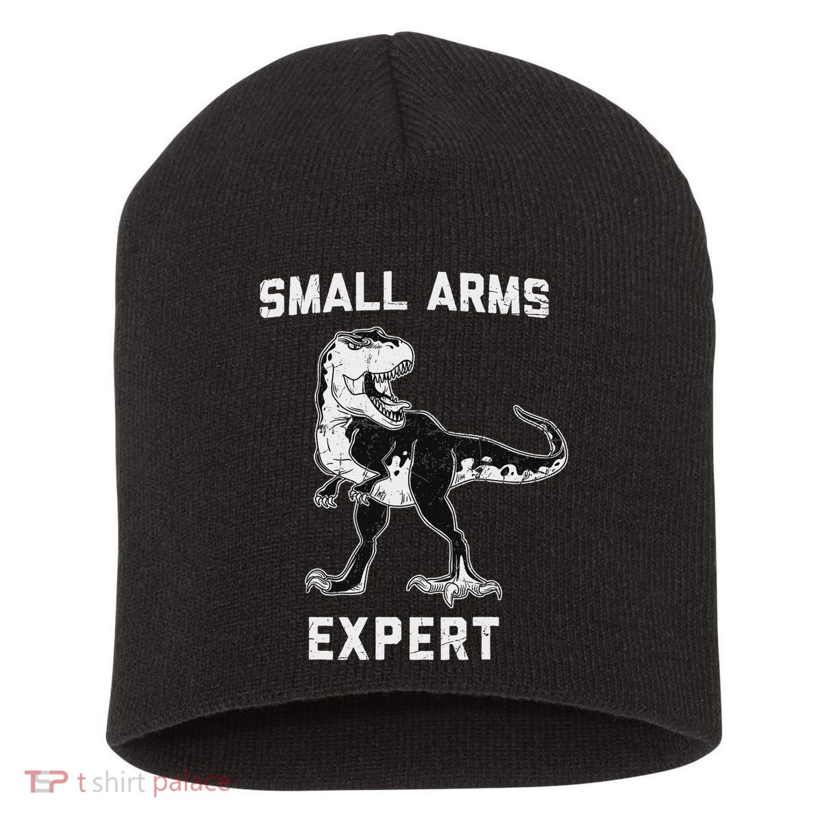 Dinosaur Small Arms Expert Short Acrylic Beanie