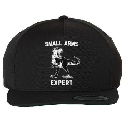 Dinosaur Small Arms Expert Wool Snapback Cap