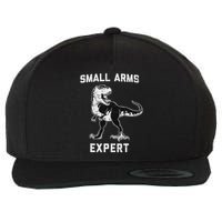 Dinosaur Small Arms Expert Wool Snapback Cap