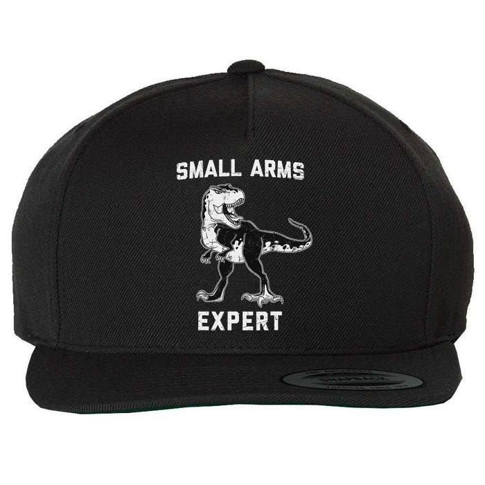 Dinosaur Small Arms Expert Wool Snapback Cap