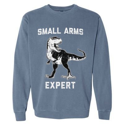 Dinosaur Small Arms Expert Garment-Dyed Sweatshirt