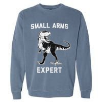 Dinosaur Small Arms Expert Garment-Dyed Sweatshirt