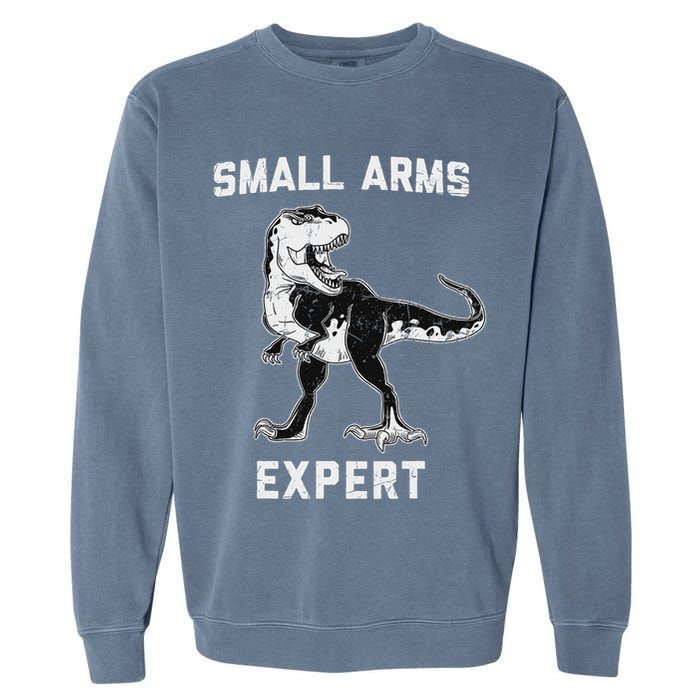Dinosaur Small Arms Expert Garment-Dyed Sweatshirt