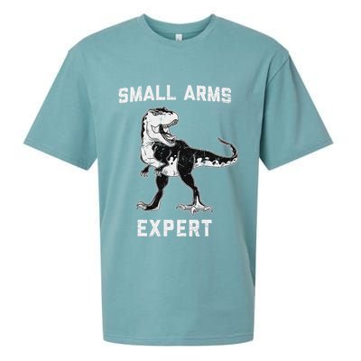 Dinosaur Small Arms Expert Sueded Cloud Jersey T-Shirt