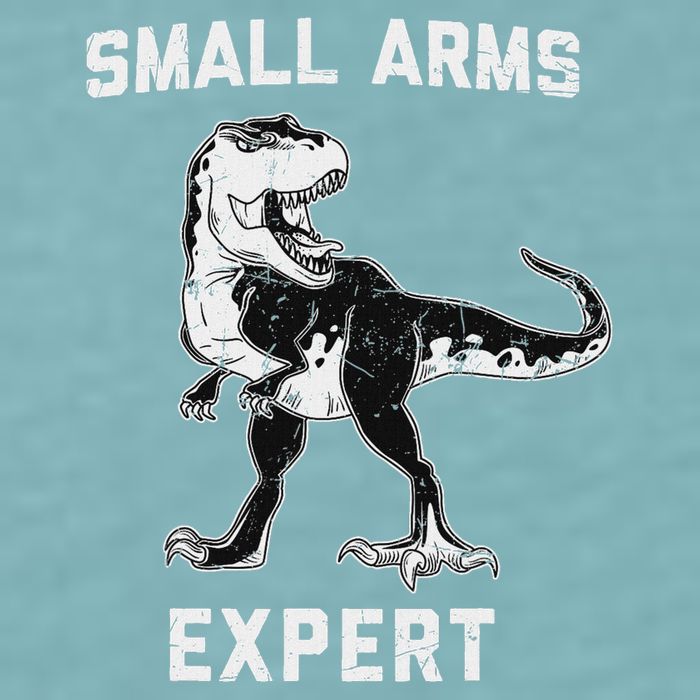 Dinosaur Small Arms Expert Sueded Cloud Jersey T-Shirt