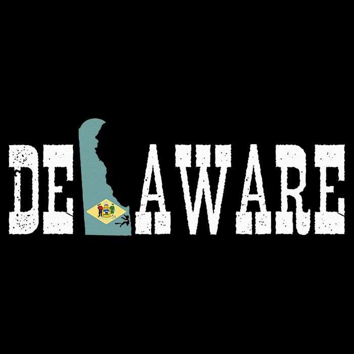 Delaware State And Delaware Flag With Pride For Delaware T-Shirt