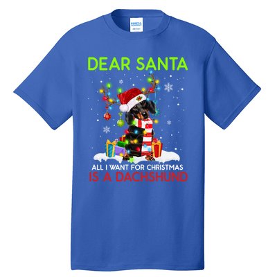 Dear Santa All I Want For Christmas Is A Dachshund Christmas Gift Tall T-Shirt