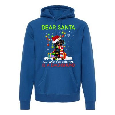 Dear Santa All I Want For Christmas Is A Dachshund Christmas Gift Premium Hoodie