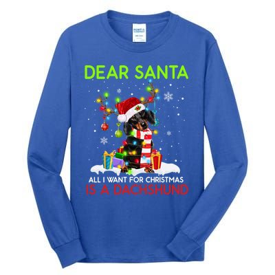 Dear Santa All I Want For Christmas Is A Dachshund Christmas Gift Tall Long Sleeve T-Shirt