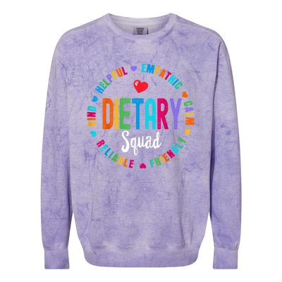 Dietary SQUAD Appreciation Week Healthcare Dietitian Squad Colorblast Crewneck Sweatshirt