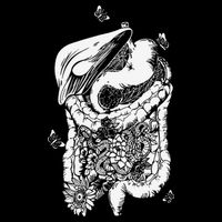 Digestive System Anatomy Flower GI Nurse Gastroenterology Women's Crop Top Tee