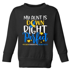 Down Syndrome Awareness My Aunt Is Down Right Perfect Toddler Sweatshirt