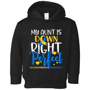 Down Syndrome Awareness My Aunt Is Down Right Perfect Toddler Hoodie