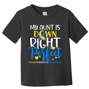 Down Syndrome Awareness My Aunt Is Down Right Perfect Toddler T-Shirt