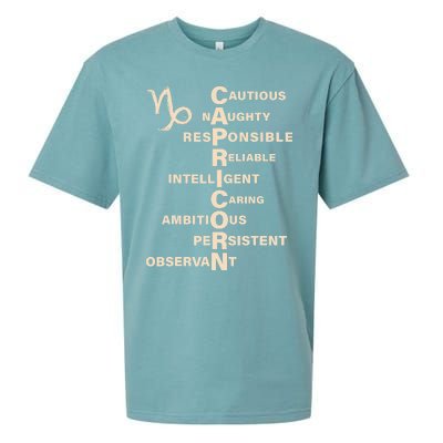 Don't Study A Capricorn Astrology Birthday Zodiac Sign Sueded Cloud Jersey T-Shirt