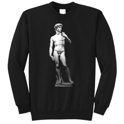 David Statue By Michelangelo Sweatshirt