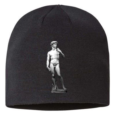 David Statue By Michelangelo Sustainable Beanie