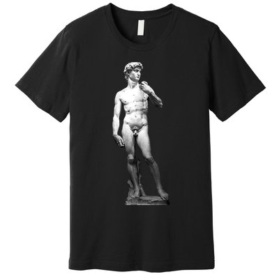 David Statue By Michelangelo Premium T-Shirt