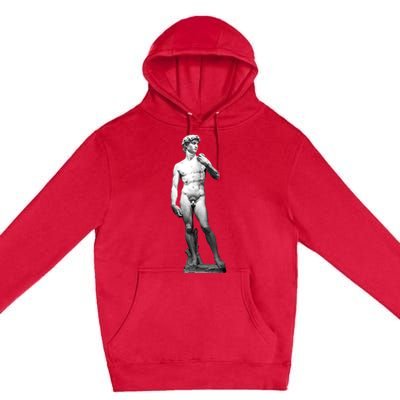 David Statue By Michelangelo Premium Pullover Hoodie