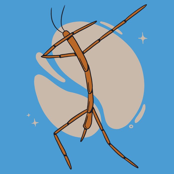 Dabbing Stick Bug Tie Dye Hoodie