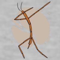 Dabbing Stick Bug Ladies PosiCharge Tri-Blend Wicking Tank
