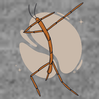 Dabbing Stick Bug Tall Hoodie