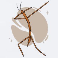 Dabbing Stick Bug Sueded Cloud Jersey T-Shirt