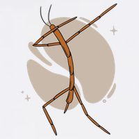 Dabbing Stick Bug Mousepad