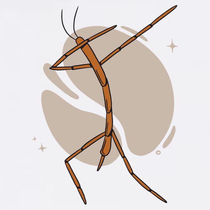 Dabbing Stick Bug Mousepad