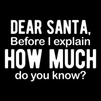 Dear Santa Before I Explain How Much Do You Know Funny Christmas Drawstring Bag