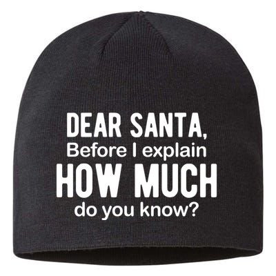 Dear Santa Before I Explain How Much Do You Know Funny Christmas Sustainable Beanie