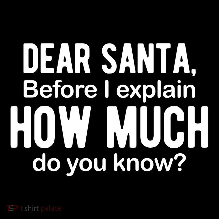 Dear Santa Before I Explain How Much Do You Know Funny Christmas Sustainable Beanie