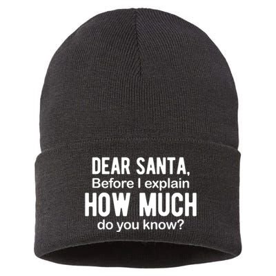 Dear Santa Before I Explain How Much Do You Know Funny Christmas Sustainable Knit Beanie