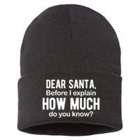 Dear Santa Before I Explain How Much Do You Know Funny Christmas Sustainable Knit Beanie
