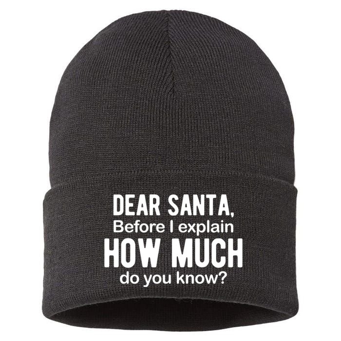 Dear Santa Before I Explain How Much Do You Know Funny Christmas Sustainable Knit Beanie