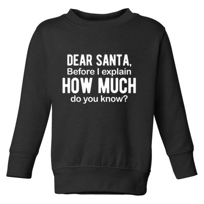 Dear Santa Before I Explain How Much Do You Know Funny Christmas Toddler Sweatshirt