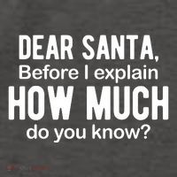 Dear Santa Before I Explain How Much Do You Know Funny Christmas Vector Backpack