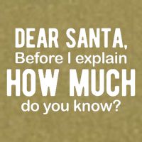 Dear Santa Before I Explain How Much Do You Know Funny Christmas Garment-Dyed Women's Muscle Tee