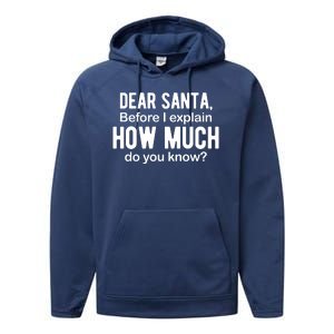 Dear Santa Before I Explain How Much Do You Know Funny Christmas Performance Fleece Hoodie