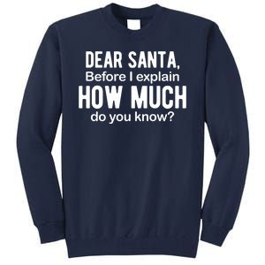 Dear Santa Before I Explain How Much Do You Know Funny Christmas Tall Sweatshirt