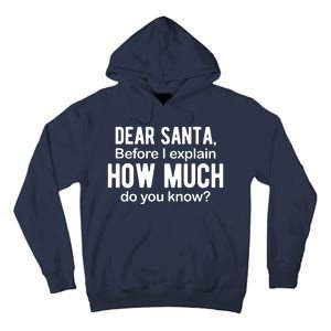 Dear Santa Before I Explain How Much Do You Know Funny Christmas Tall Hoodie