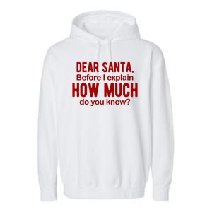 Dear Santa Before I Explain How Much Do You Know Funny Christmas Garment-Dyed Fleece Hoodie