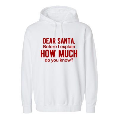Dear Santa Before I Explain How Much Do You Know Funny Christmas Garment-Dyed Fleece Hoodie