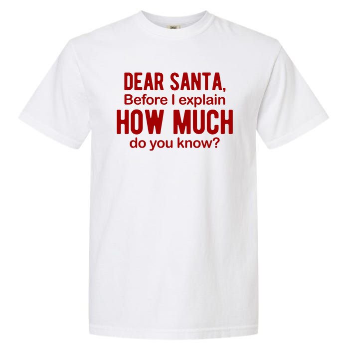 Dear Santa Before I Explain How Much Do You Know Funny Christmas Garment-Dyed Heavyweight T-Shirt