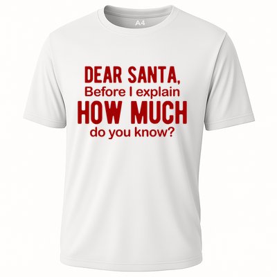 Dear Santa Before I Explain How Much Do You Know Funny Christmas Performance Shirt