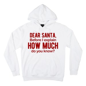 Dear Santa Before I Explain How Much Do You Know Funny Christmas Hoodie