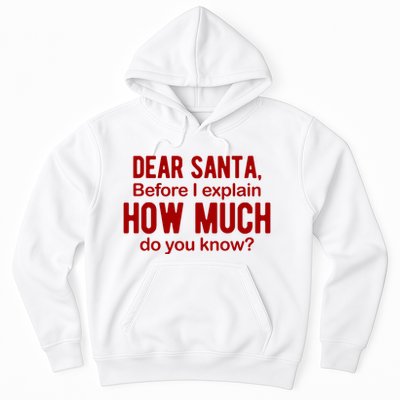 Dear Santa Before I Explain How Much Do You Know Funny Christmas Hoodie