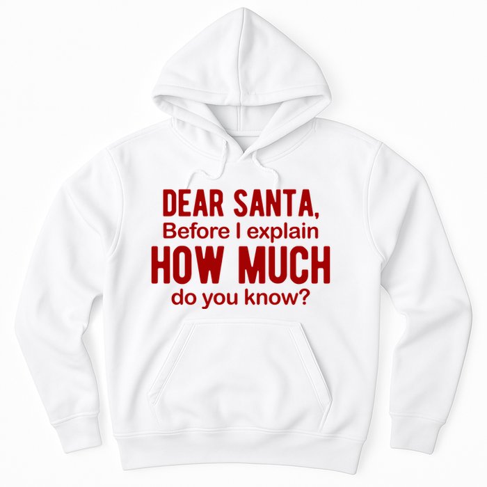 Dear Santa Before I Explain How Much Do You Know Funny Christmas Hoodie
