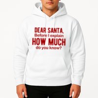 Dear Santa Before I Explain How Much Do You Know Funny Christmas Hoodie